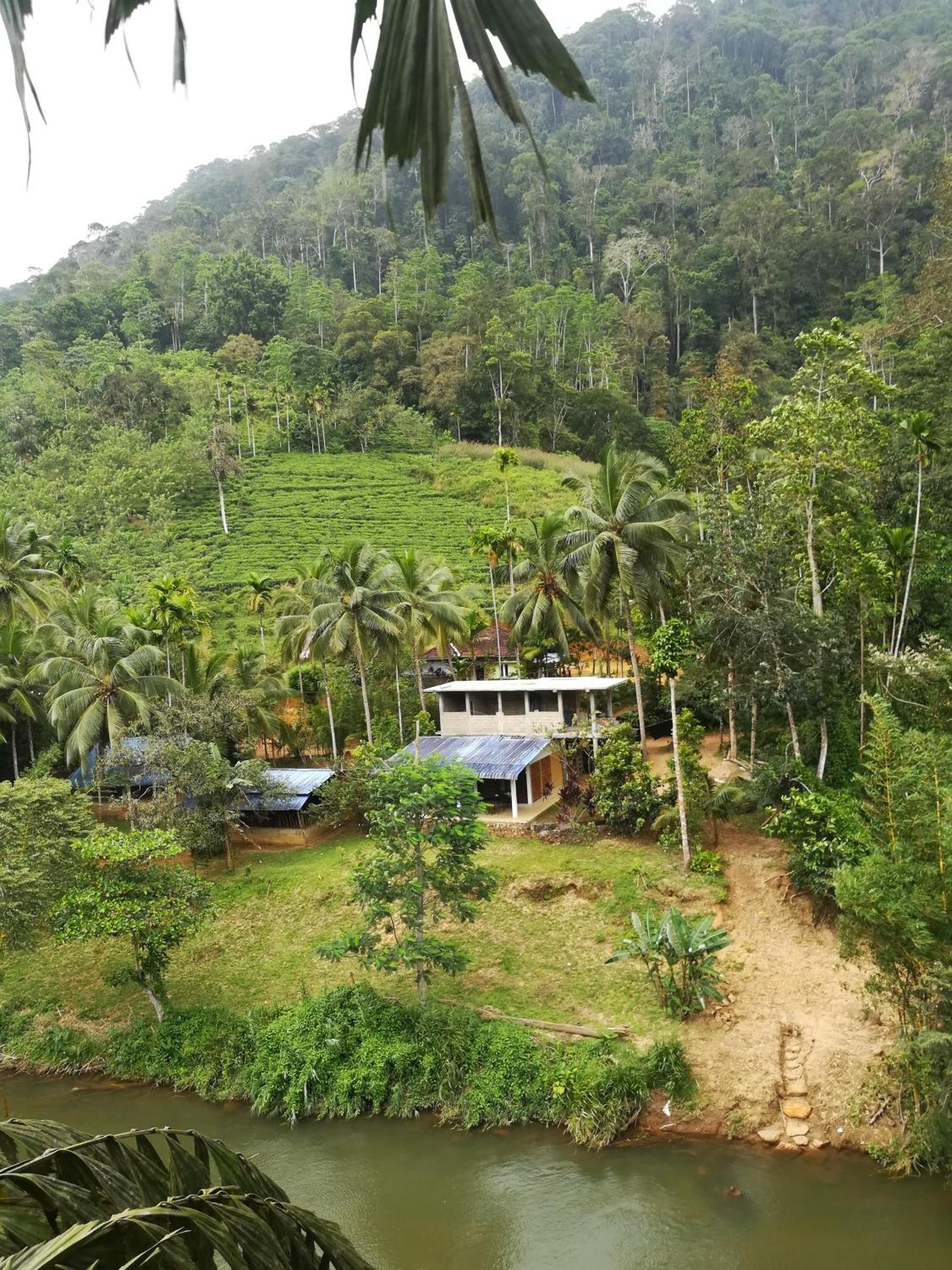 Sinharaja Vini Villa デニヤヤ 部屋 写真