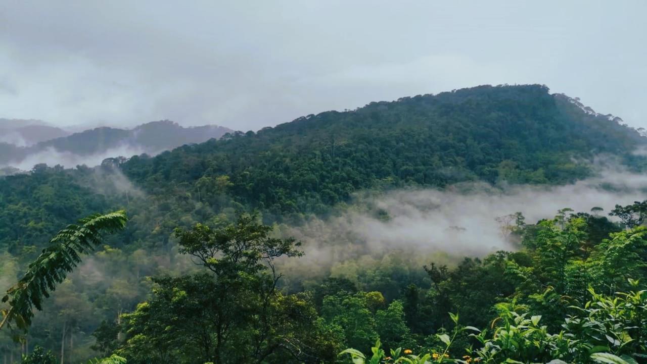 Sinharaja Vini Villa デニヤヤ エクステリア 写真