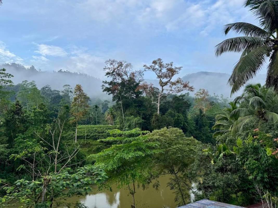 Sinharaja Vini Villa デニヤヤ エクステリア 写真
