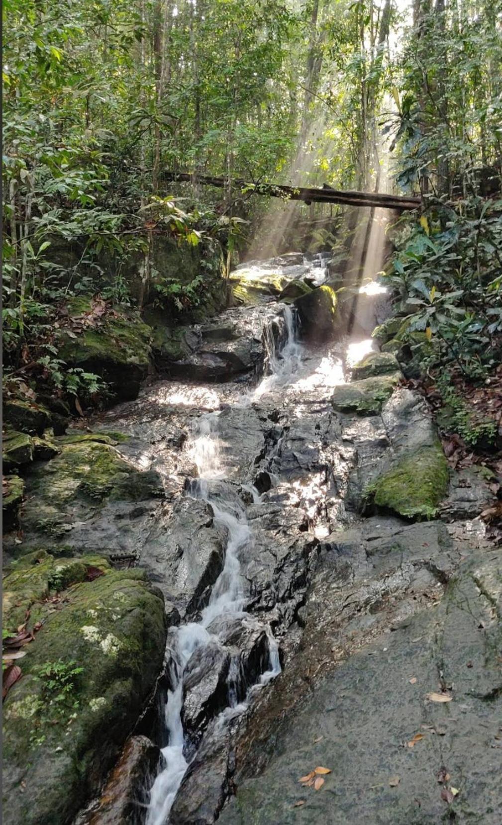 Sinharaja Vini Villa デニヤヤ エクステリア 写真