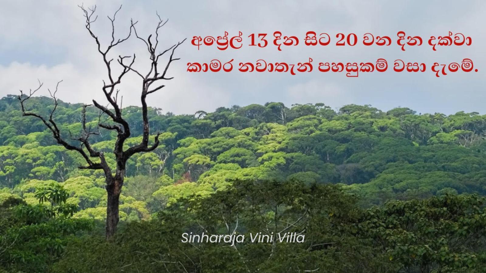 Sinharaja Vini Villa デニヤヤ エクステリア 写真