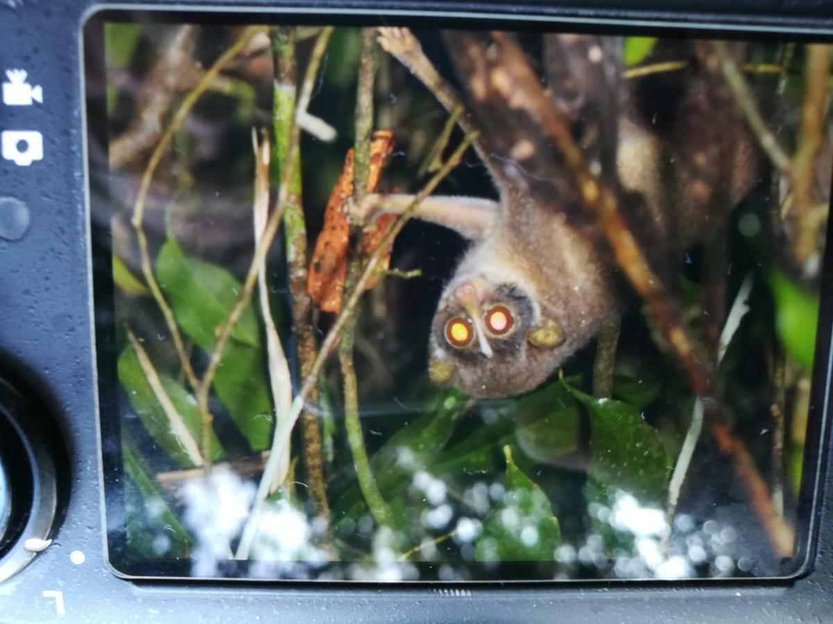 Sinharaja Vini Villa デニヤヤ エクステリア 写真